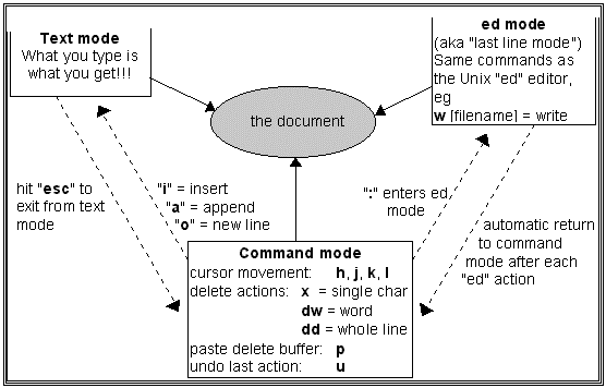 Hướng dẫn cơ bản sử dụng trình soạn thảo vi trong Linux